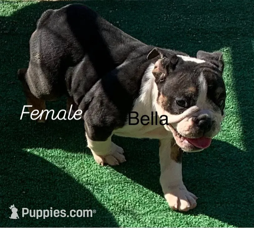 processed/6967d350-54c0-45fe-a5a9-13794e01cc62/listing/41a09928-b1ab-47a0-95e5-00a08fe461dd/5693d154-f13c-4c28-a59d-b8cad6bf1df5