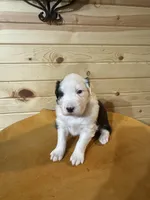 processed/696c2bee-1a0c-4040-9ad1-750ad437c263/listing/17fdecd7-3a90-43e5-8de2-4d95ed282e09/49693063-959e-4ca8-a8a4-9f29b6db42cf