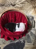 processed/696c2bee-1a0c-4040-9ad1-750ad437c263/listing/17fdecd7-3a90-43e5-8de2-4d95ed282e09/d082367f-b7e5-4713-9850-f7679c2e6ccb