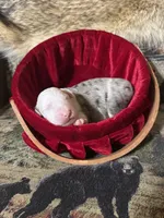 processed/696c2bee-1a0c-4040-9ad1-750ad437c263/listing/bd689fba-a5b0-497d-8b01-e01d1339737b/9286053c-7ad4-4531-8a9c-4ff0903ced03