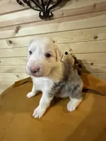 processed/696c2bee-1a0c-4040-9ad1-750ad437c263/listing/bd689fba-a5b0-497d-8b01-e01d1339737b/ab733ae0-6ac2-4064-af0d-2b02590547c6