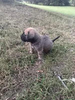 processed/696e94fa-bd7a-4f86-8cb1-0bf204820bb3/listing/367422e1-ee37-47f5-b5c8-8247be374272/58c8e5cf-1670-4fd2-9dc8-8e33354f4a87