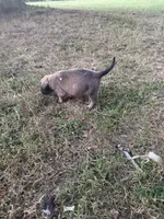 processed/696e94fa-bd7a-4f86-8cb1-0bf204820bb3/listing/367422e1-ee37-47f5-b5c8-8247be374272/e27abe88-3363-491c-bbf8-8edf95ee3849