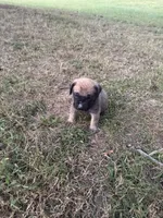 processed/696e94fa-bd7a-4f86-8cb1-0bf204820bb3/listing/367422e1-ee37-47f5-b5c8-8247be374272/edff429f-3f8b-48ea-8f07-3e0758ed7bd2