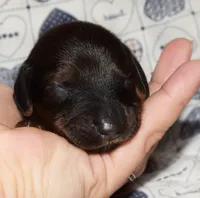 processed/696fe0a6-4c1b-4926-937f-5637de84ead4/listing/469c19eb-9599-47f1-95cd-1ba660099765/83993bd5-c28a-4821-be59-8d2874f958ac