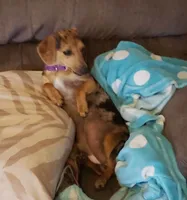 processed/696fe0a6-4c1b-4926-937f-5637de84ead4/listing/469c19eb-9599-47f1-95cd-1ba660099765/a5936d04-0cbe-4dce-91a5-9ec2ae5a1e9f