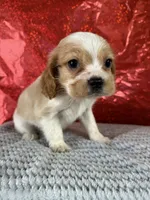 processed/69704948-124e-449c-9b25-f4ff87e1ff5c/listing/39a238b0-92f8-4071-94d5-66fd227b706d/3173c5f2-1a4f-4bc0-8fd0-9b2329754aeb