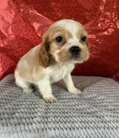 processed/69704948-124e-449c-9b25-f4ff87e1ff5c/listing/39a238b0-92f8-4071-94d5-66fd227b706d/b6455052-df26-4c3e-adeb-9c4ddd58448c