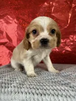 processed/69704948-124e-449c-9b25-f4ff87e1ff5c/listing/39a238b0-92f8-4071-94d5-66fd227b706d/dea5832f-e79b-41d6-b1b1-21b7d20ad595