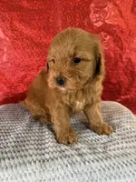 processed/69704948-124e-449c-9b25-f4ff87e1ff5c/listing/5a6bb8de-54d2-42e5-af69-4109f2adfefe/172964f9-211a-4606-884e-15fa18b3a376