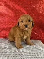 processed/69704948-124e-449c-9b25-f4ff87e1ff5c/listing/5a6bb8de-54d2-42e5-af69-4109f2adfefe/4d7b69f0-9ff7-4635-b847-c70a210da44d