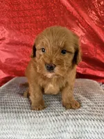 processed/69704948-124e-449c-9b25-f4ff87e1ff5c/listing/5a6bb8de-54d2-42e5-af69-4109f2adfefe/70b9b44b-71e5-4ab3-a8ca-e9f00da53677