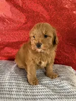 processed/69704948-124e-449c-9b25-f4ff87e1ff5c/listing/5a6bb8de-54d2-42e5-af69-4109f2adfefe/904531d0-086c-4779-a1cf-3b3f9e71d4f3