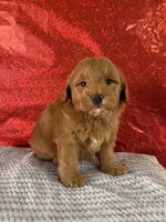 processed/69704948-124e-449c-9b25-f4ff87e1ff5c/listing/5a6bb8de-54d2-42e5-af69-4109f2adfefe/e1b646f8-6299-4d59-9da9-55bcb73fa25e