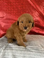 processed/69704948-124e-449c-9b25-f4ff87e1ff5c/listing/5a6bb8de-54d2-42e5-af69-4109f2adfefe/fd4ae3ce-ebf9-4f1a-9498-1e7d41283de6