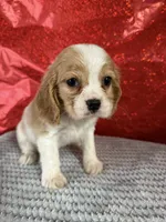 processed/69704948-124e-449c-9b25-f4ff87e1ff5c/listing/90a3da1b-9a29-4923-949b-1e7aef50aae7/403433b7-a2af-44e4-aa7f-181060076671