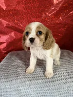 processed/69704948-124e-449c-9b25-f4ff87e1ff5c/listing/90a3da1b-9a29-4923-949b-1e7aef50aae7/66e76b4f-8fad-4f99-ba93-9c051f3d7a4b