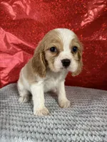 processed/69704948-124e-449c-9b25-f4ff87e1ff5c/listing/90a3da1b-9a29-4923-949b-1e7aef50aae7/72c666d0-254c-4cb7-a65e-5160b4649438