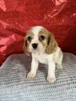 processed/69704948-124e-449c-9b25-f4ff87e1ff5c/listing/90a3da1b-9a29-4923-949b-1e7aef50aae7/89a5efa1-7042-4a81-a345-dd50b44ad053