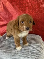 processed/69704948-124e-449c-9b25-f4ff87e1ff5c/listing/a5e93c90-746b-4d2c-b093-517e1d04bbc5/0c9e0228-f468-44cb-98e8-d11e4a54e8de