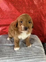 processed/69704948-124e-449c-9b25-f4ff87e1ff5c/listing/a5e93c90-746b-4d2c-b093-517e1d04bbc5/146c59c4-82b2-4cc9-b296-5658fe4817e1