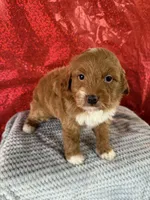 processed/69704948-124e-449c-9b25-f4ff87e1ff5c/listing/a5e93c90-746b-4d2c-b093-517e1d04bbc5/4d3d93af-7344-4910-a2d6-955d5710d0e7