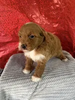 processed/69704948-124e-449c-9b25-f4ff87e1ff5c/listing/a5e93c90-746b-4d2c-b093-517e1d04bbc5/d978c661-9197-44dc-86de-20f64c87f976