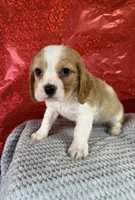 processed/69704948-124e-449c-9b25-f4ff87e1ff5c/listing/aa32e2a6-087f-4d02-af39-ea77d0732fc8/2002f746-17e3-43cc-ae1d-e4ccae45db9c