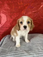 processed/69704948-124e-449c-9b25-f4ff87e1ff5c/listing/aa32e2a6-087f-4d02-af39-ea77d0732fc8/6366a86e-25f2-4a0f-bb3f-1bdb53a672ae