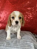 processed/69704948-124e-449c-9b25-f4ff87e1ff5c/listing/aa32e2a6-087f-4d02-af39-ea77d0732fc8/f844ab50-c13b-4d06-a803-c89ba0ddcfa3