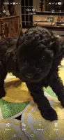 Facility photo