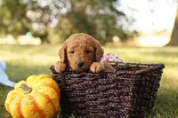 processed/69958333-4168-45df-bf92-ddd3f1e7fa1f/listing/0d92290d-2a68-4771-9ea9-34a3c6a8f9a7/19f4f5f8-294f-450a-bed7-6e1a0ef7987c