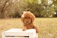 processed/69958333-4168-45df-bf92-ddd3f1e7fa1f/listing/0d92290d-2a68-4771-9ea9-34a3c6a8f9a7/4677f9b7-b341-43ea-bf38-d75992d1227d