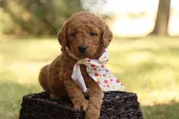 processed/69958333-4168-45df-bf92-ddd3f1e7fa1f/listing/0d92290d-2a68-4771-9ea9-34a3c6a8f9a7/63c2a0db-cce1-4380-9205-43161a7fb8fa