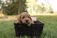 processed/69958333-4168-45df-bf92-ddd3f1e7fa1f/listing/1be0daa2-a009-41e7-8210-126e945c5339/23fb99bd-f4a9-4904-b1fc-a74e2f753425