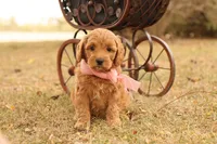 processed/69958333-4168-45df-bf92-ddd3f1e7fa1f/listing/1be0daa2-a009-41e7-8210-126e945c5339/6d79ae75-d615-424b-a7e3-77b912b6f2e4