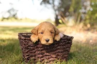 processed/69958333-4168-45df-bf92-ddd3f1e7fa1f/listing/1be0daa2-a009-41e7-8210-126e945c5339/77abd05f-6d09-4dda-9735-e05f335ad15f