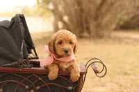 processed/69958333-4168-45df-bf92-ddd3f1e7fa1f/listing/1be0daa2-a009-41e7-8210-126e945c5339/cc9b0ea9-1d58-490a-a406-765d2c692e37