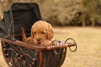 processed/69958333-4168-45df-bf92-ddd3f1e7fa1f/listing/1be0daa2-a009-41e7-8210-126e945c5339/e227d593-da42-4b16-b9dd-41ecad092c19