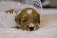 processed/69958333-4168-45df-bf92-ddd3f1e7fa1f/listing/1be3a1fe-e630-4ffa-911e-dd78906ad6bc/72ad22f8-f826-4c3e-9b65-856f6da4dc1d