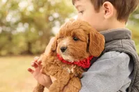 processed/69958333-4168-45df-bf92-ddd3f1e7fa1f/listing/3ce888d1-972e-407c-a943-3767c6ad7254/22d605a0-4468-414b-83eb-4ed84680a07a