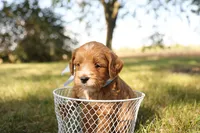 processed/69958333-4168-45df-bf92-ddd3f1e7fa1f/listing/3ce888d1-972e-407c-a943-3767c6ad7254/770ff87c-b430-406b-b576-dad1445b814c