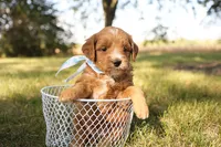 processed/69958333-4168-45df-bf92-ddd3f1e7fa1f/listing/3ce888d1-972e-407c-a943-3767c6ad7254/b89ca97c-0738-489c-9d07-d8e2296dc866