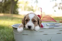 processed/69958333-4168-45df-bf92-ddd3f1e7fa1f/listing/ab68bd27-c1b5-46da-91c9-fc9340ff59f5/351e6545-faf3-49b5-897d-a3384a28118a