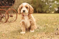 processed/69958333-4168-45df-bf92-ddd3f1e7fa1f/listing/ab68bd27-c1b5-46da-91c9-fc9340ff59f5/a30e7fa7-2c81-4652-8365-72902e591ed2