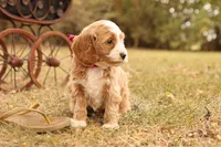 processed/69958333-4168-45df-bf92-ddd3f1e7fa1f/listing/ab68bd27-c1b5-46da-91c9-fc9340ff59f5/f3780898-bc14-46ea-8281-9deea968d4e9