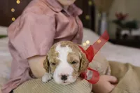 processed/69958333-4168-45df-bf92-ddd3f1e7fa1f/listing/cf03a524-d356-415b-9b37-fe12b52b2f2f/da606523-a7e9-4861-8290-f0d140c12ab4