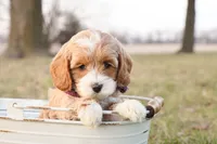 processed/69958333-4168-45df-bf92-ddd3f1e7fa1f/listing/cf03a524-d356-415b-9b37-fe12b52b2f2f/eef1bd7c-702c-4a42-a37e-dd054ecf0ac9