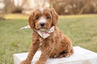 processed/69958333-4168-45df-bf92-ddd3f1e7fa1f/listing/e7eb6d37-4bbe-4288-ab9e-8ddb005184a0/2780ea35-aaa1-4413-8666-b78364e6dce8