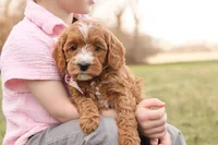 processed/69958333-4168-45df-bf92-ddd3f1e7fa1f/listing/e7eb6d37-4bbe-4288-ab9e-8ddb005184a0/7848e2c0-da74-4b7a-8f77-e96b8df1358a